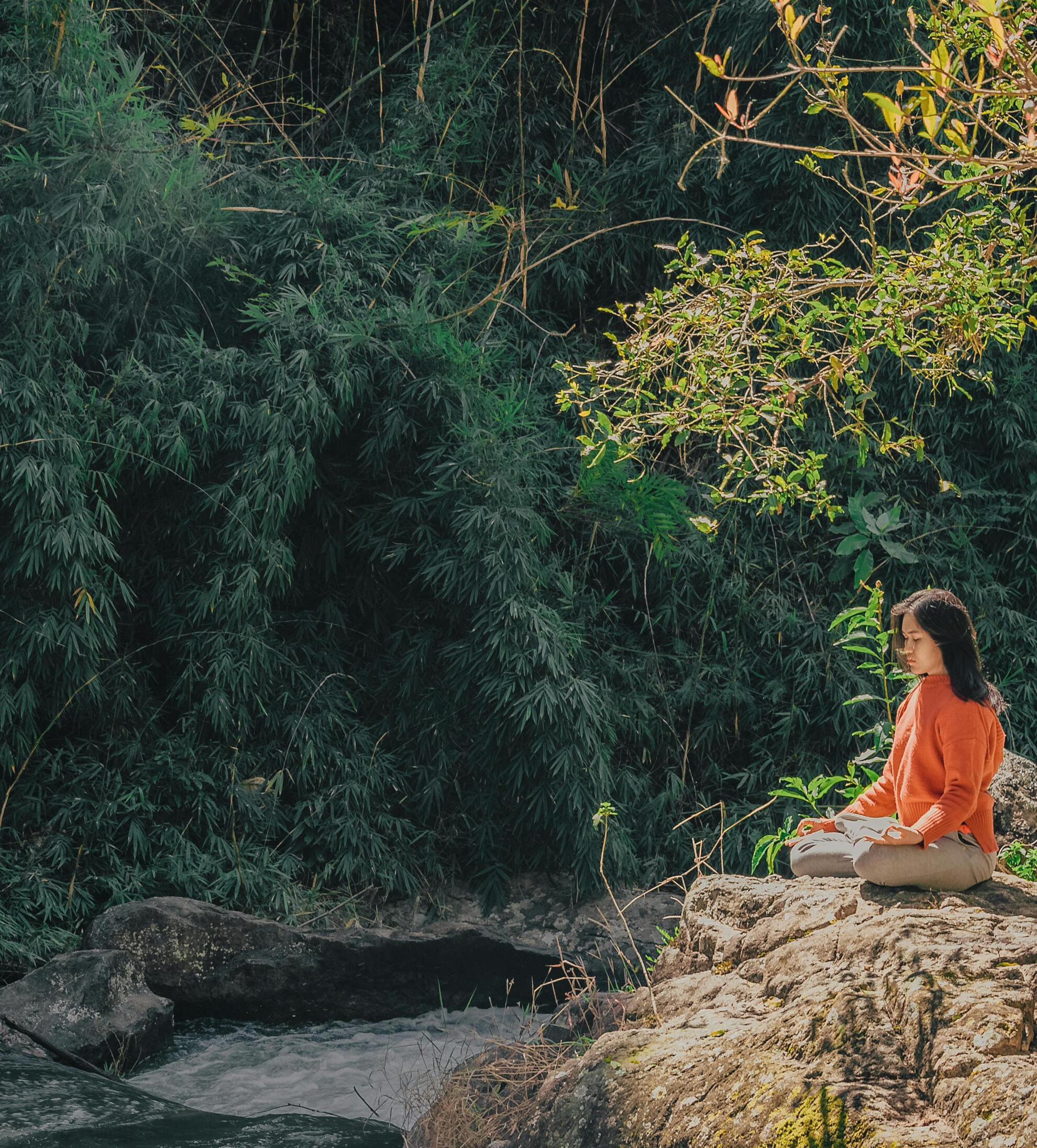 Meditation Retreat Thailand Pond Cabins Meditation Retreat Thailand Mountain Bungalows